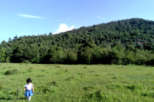 a meadow offbeat Jhaltola