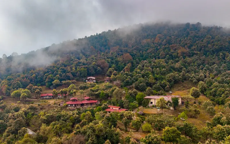 Monsoon Retreat package at Misty Mountains, Jhaltola