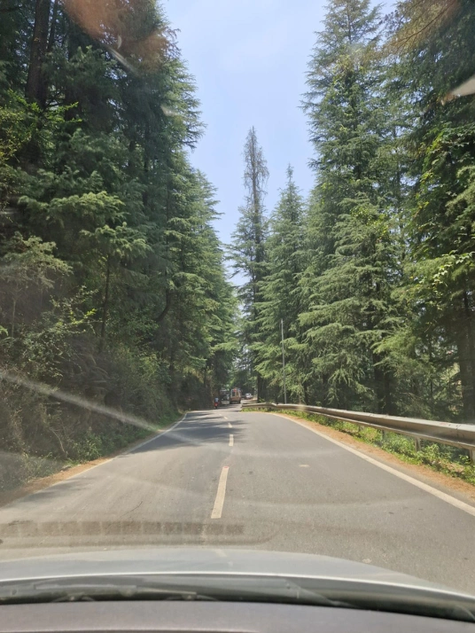 Road trip
