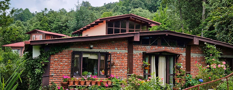 Misty Home