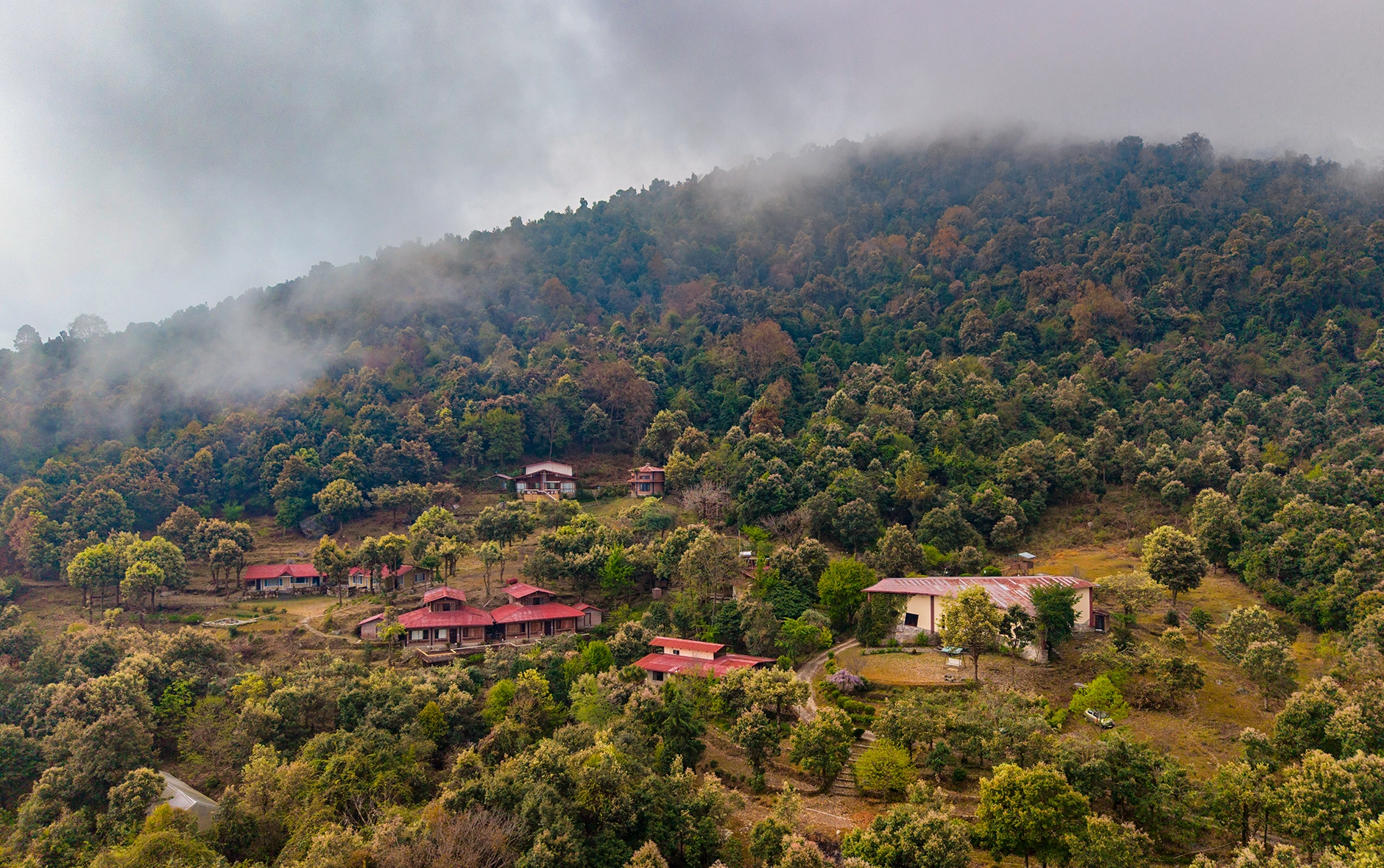 Workation at Misty Mountains