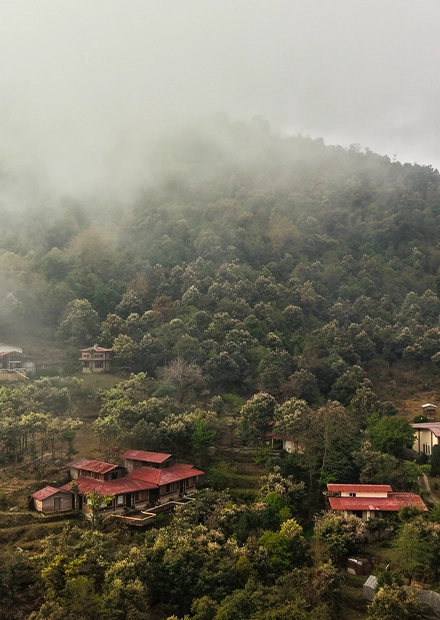 Deep green forest valley wrapped in monsoon cloud