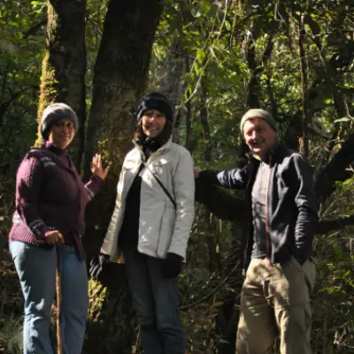 Forest Walks