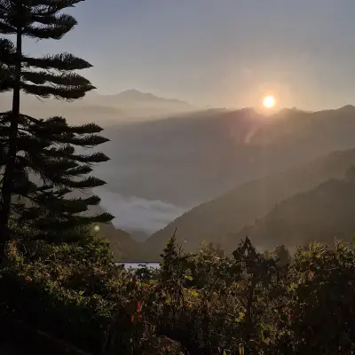 Morning Mist