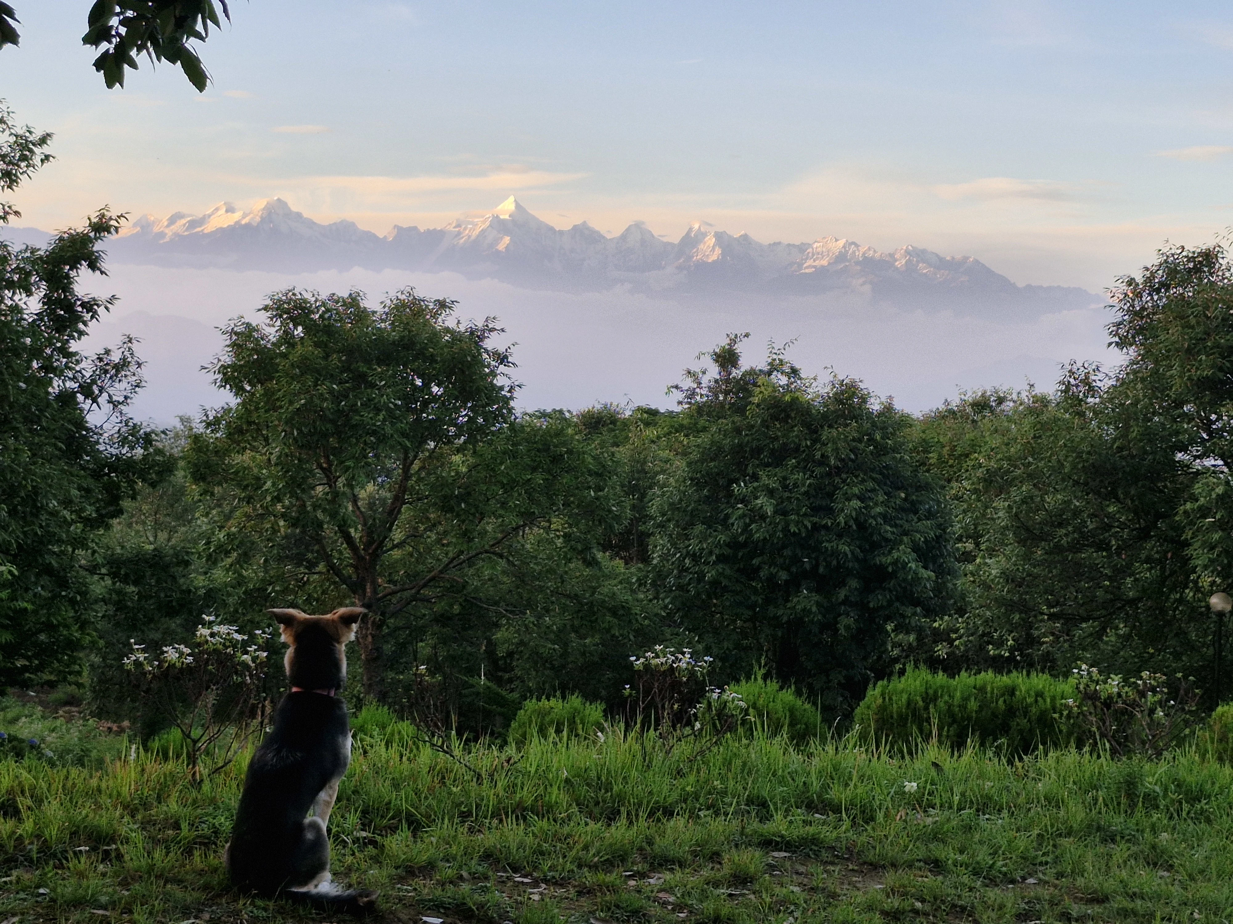 Himalayan Morning