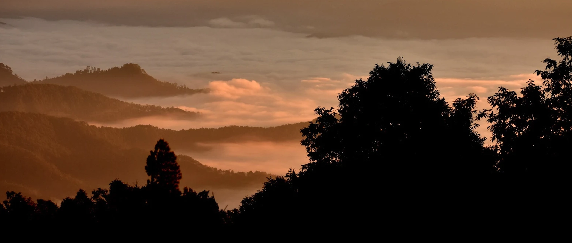 Slow down. Pause. Experience.