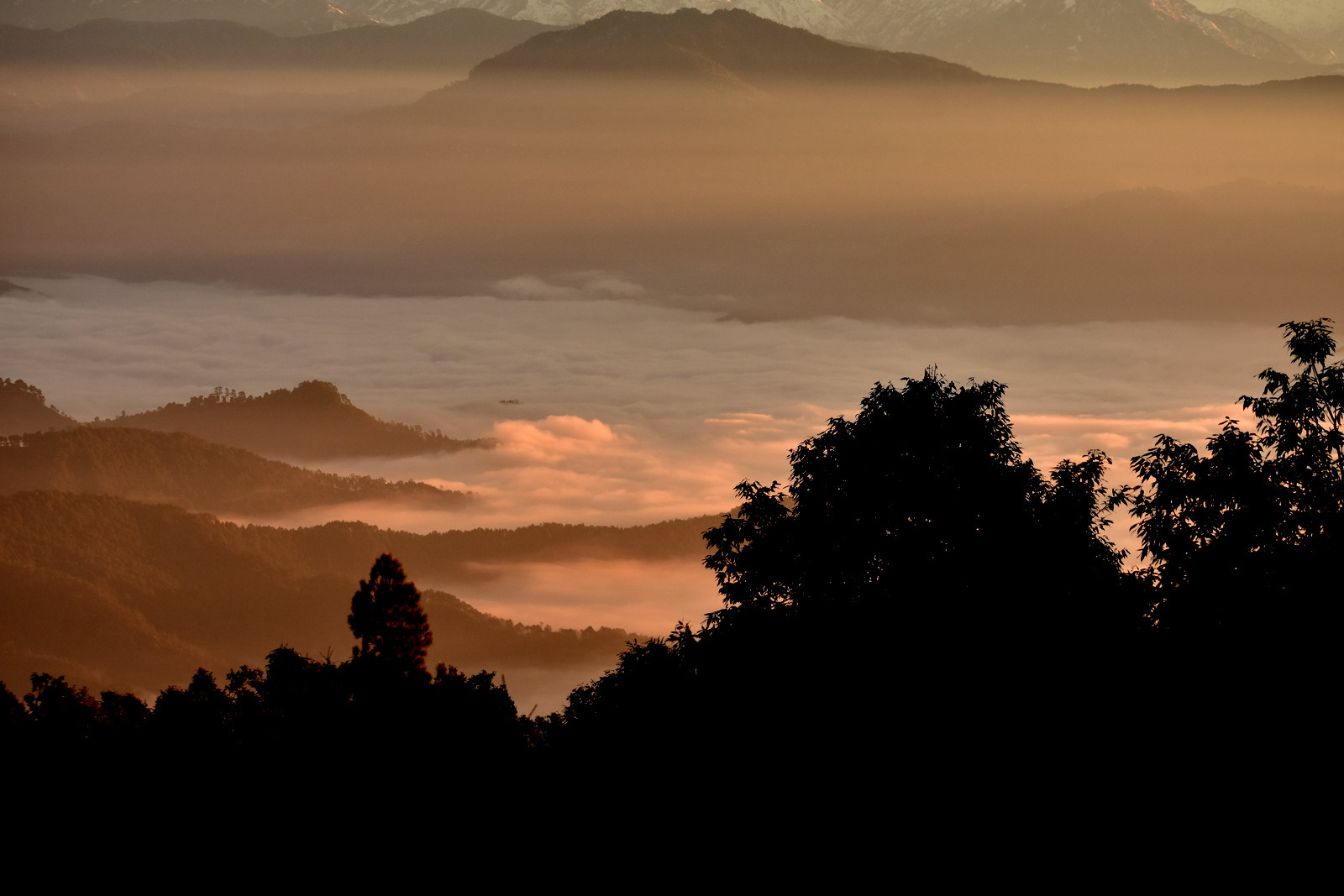 Slow down. Pause. Experience.