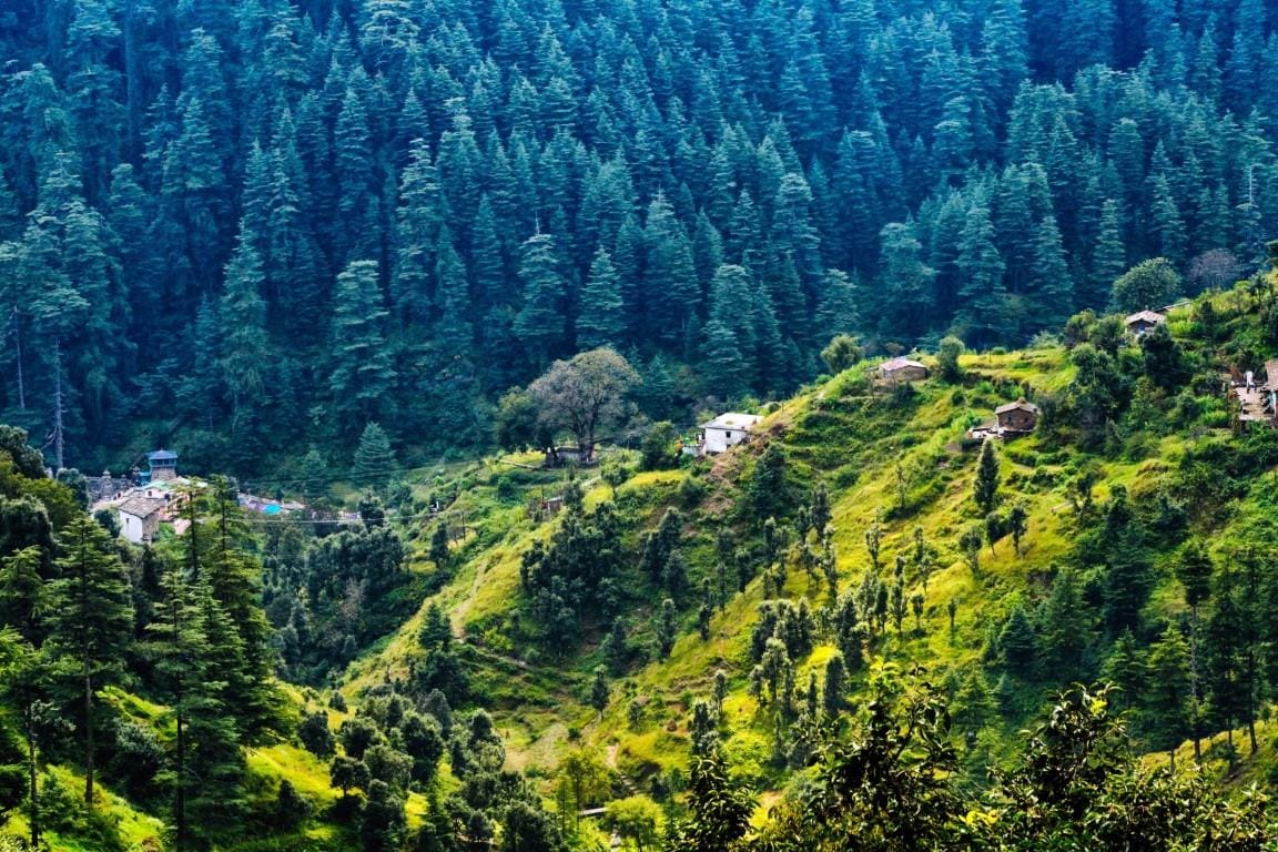Ranikhet Near Misty Mountain: Discover the Quiet Charm of Kumaon