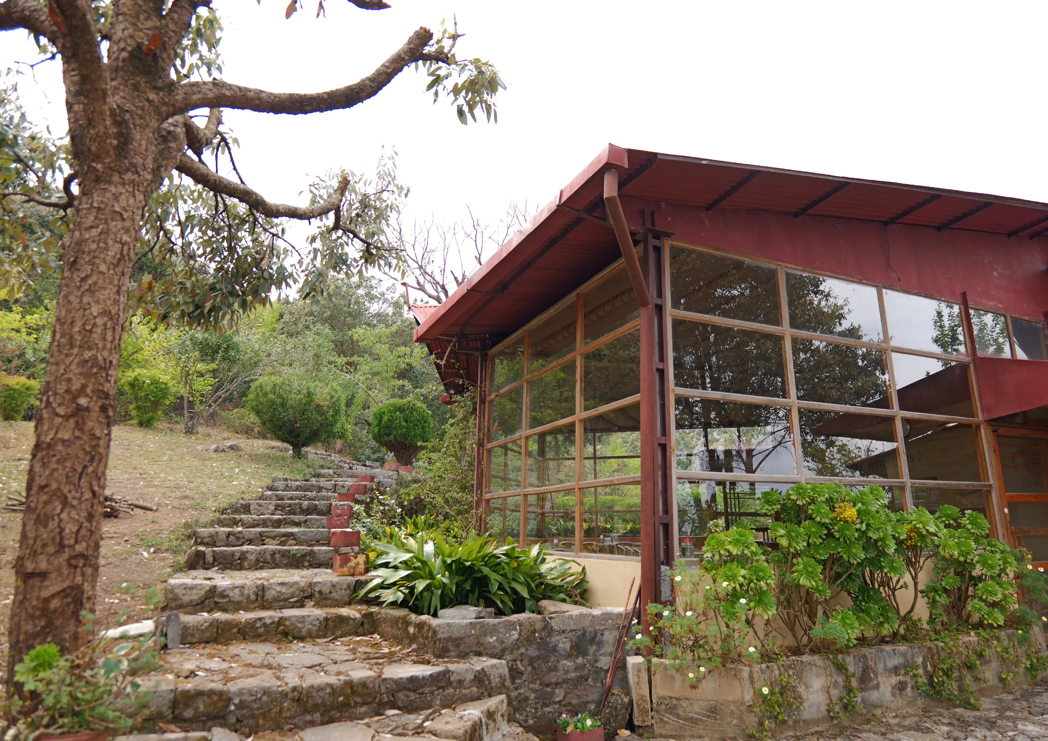 Chaukori After the Rains: Discover September in the Green Heart of Kumaon