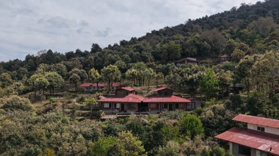 The Complete Travel Guide to Jhaltola: Everything You Need to Know Before You Visit