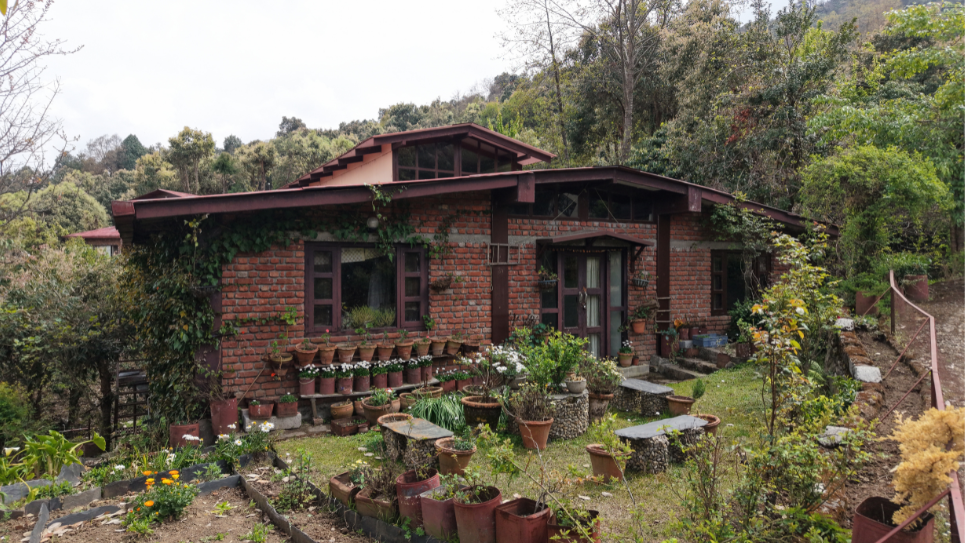 The Forgotten Walking Trails of Kumaon: Exploring the Forest Paths Around Jhaltola