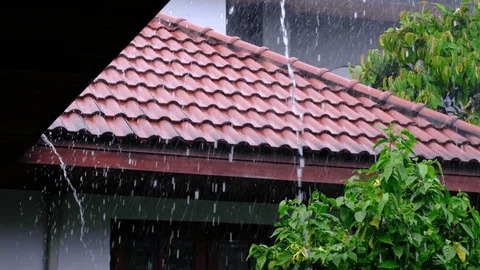 The Monsoon Muse: Why Tin Roofs and Rain Mist are a Writer’s Best Friends