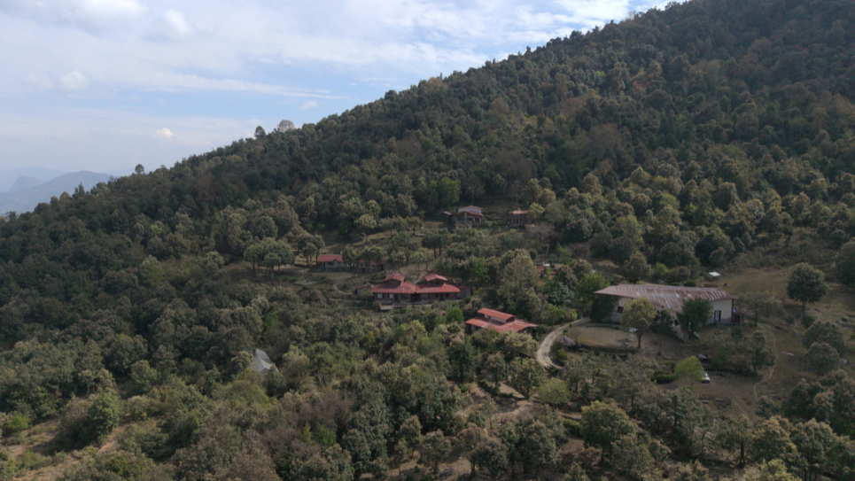 Why Jhaltola is the Hidden Himalayan Escape Every Nature Lover Should Experience
