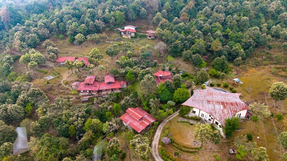 The Language of the Forest: 10 Sounds You Only Hear Deep Inside Jhaltola 1,000-Acre
