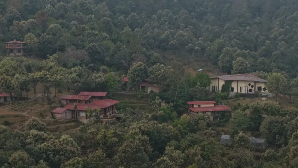 How Four Days Inside a Thousand-Acre Himalayan Forest Can Reset Your Nervous System