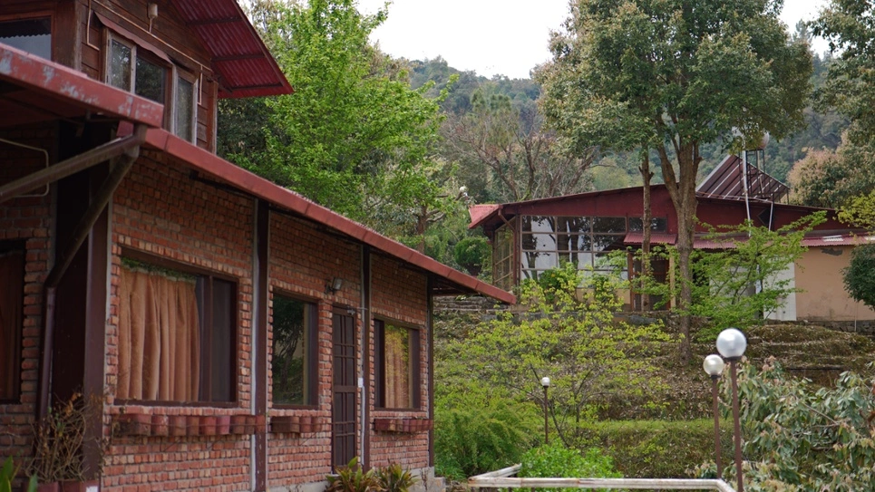 Mystical Kumaon: Discover the Quiet Beauty of Misty Mountain Jhaltola,Chaukori