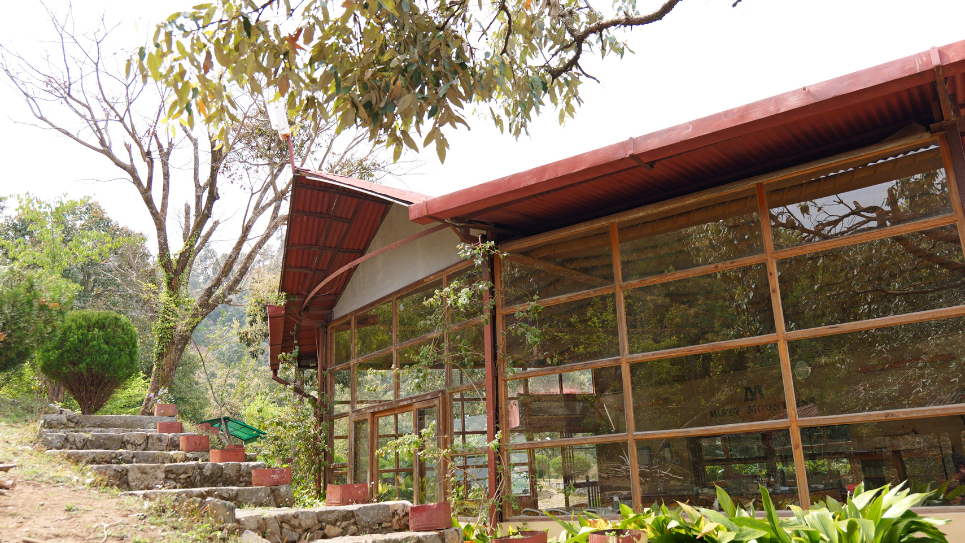Commercial Five-Star Hotels vs. Experiential Eco-Luxury Stays: The Ultimate Value Debate