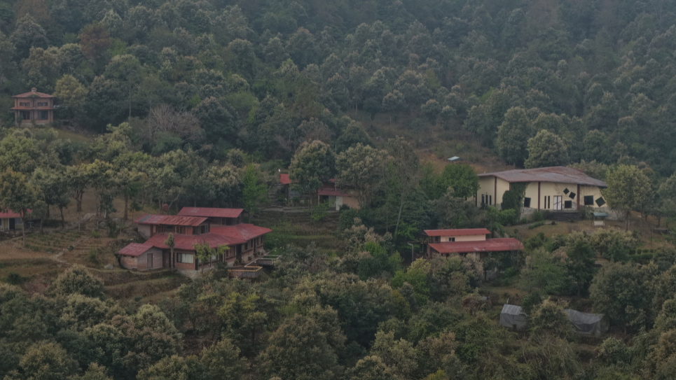 Why Every Nature Lover Should Visit Jhaltola Before Everyone Else Does