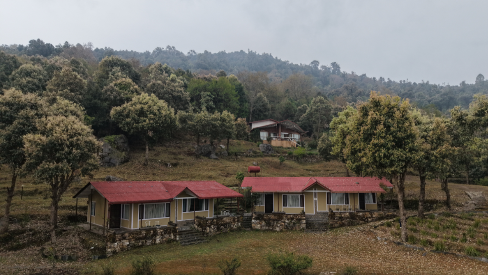 How to Plan the Perfect Himalayan Workation (The Digital Detox Deep Work Rule)